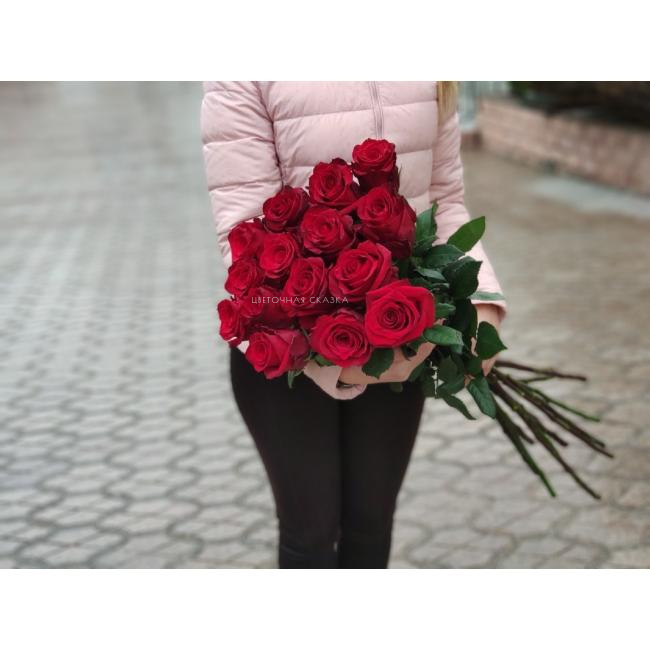Эксплоер 70 см