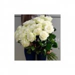 White rose