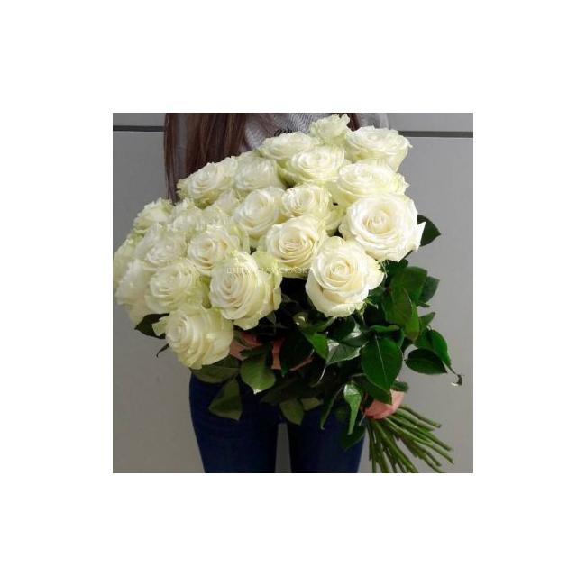 White rose