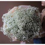 Нежное Облако