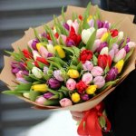 Фантастические Тюльпаны