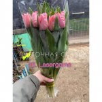 Ярко розовые