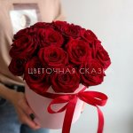 Аркадия