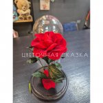 Живая роза