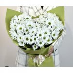 Веселое настроение