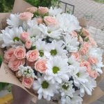 Кустовые розы и ромашковые хризантемы Белиссимо