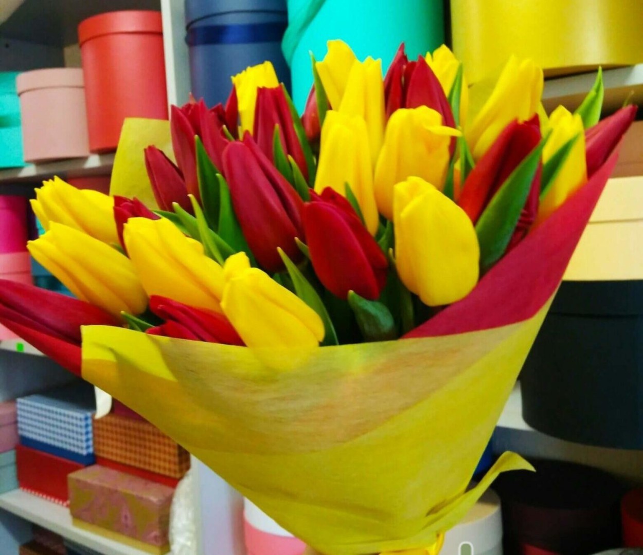 рейсы петропавловск камчатский - елизово. код петропавловска камчатского телефон. код петропавловска камчатского телефон. код петропавловска камчатского телефон. код петропавловска камчатского телефон.